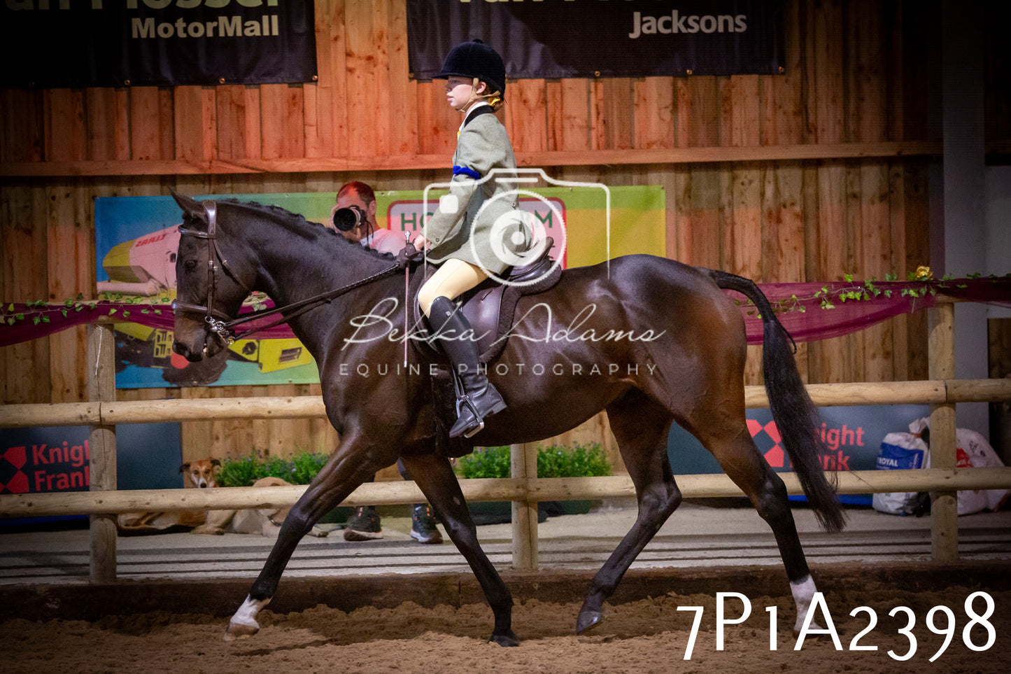 JHOYS 2025 - Ridden Showing - 28th September - pt2