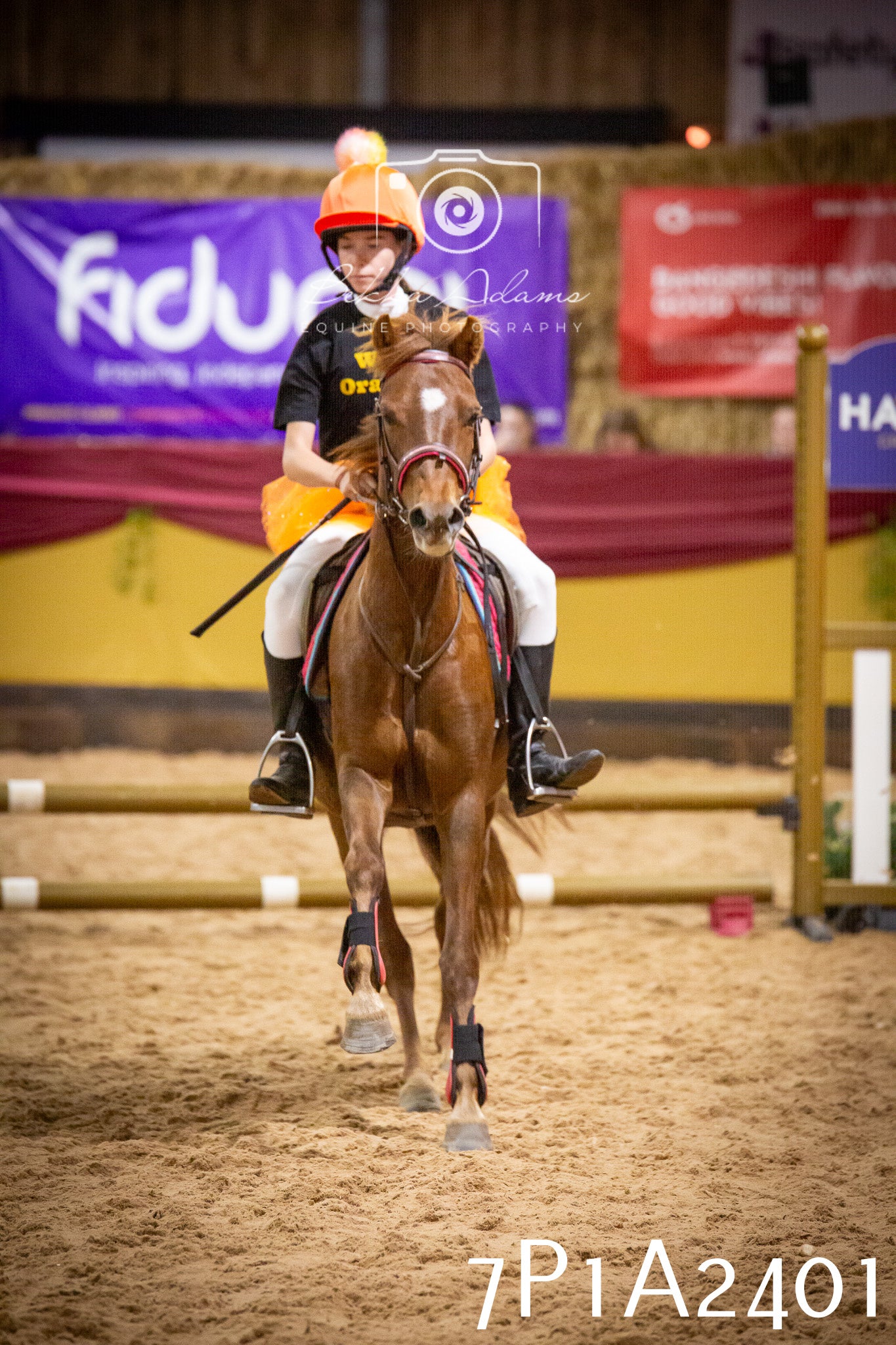 JHOYS 2025 - Show Jumping - 20th September pt1