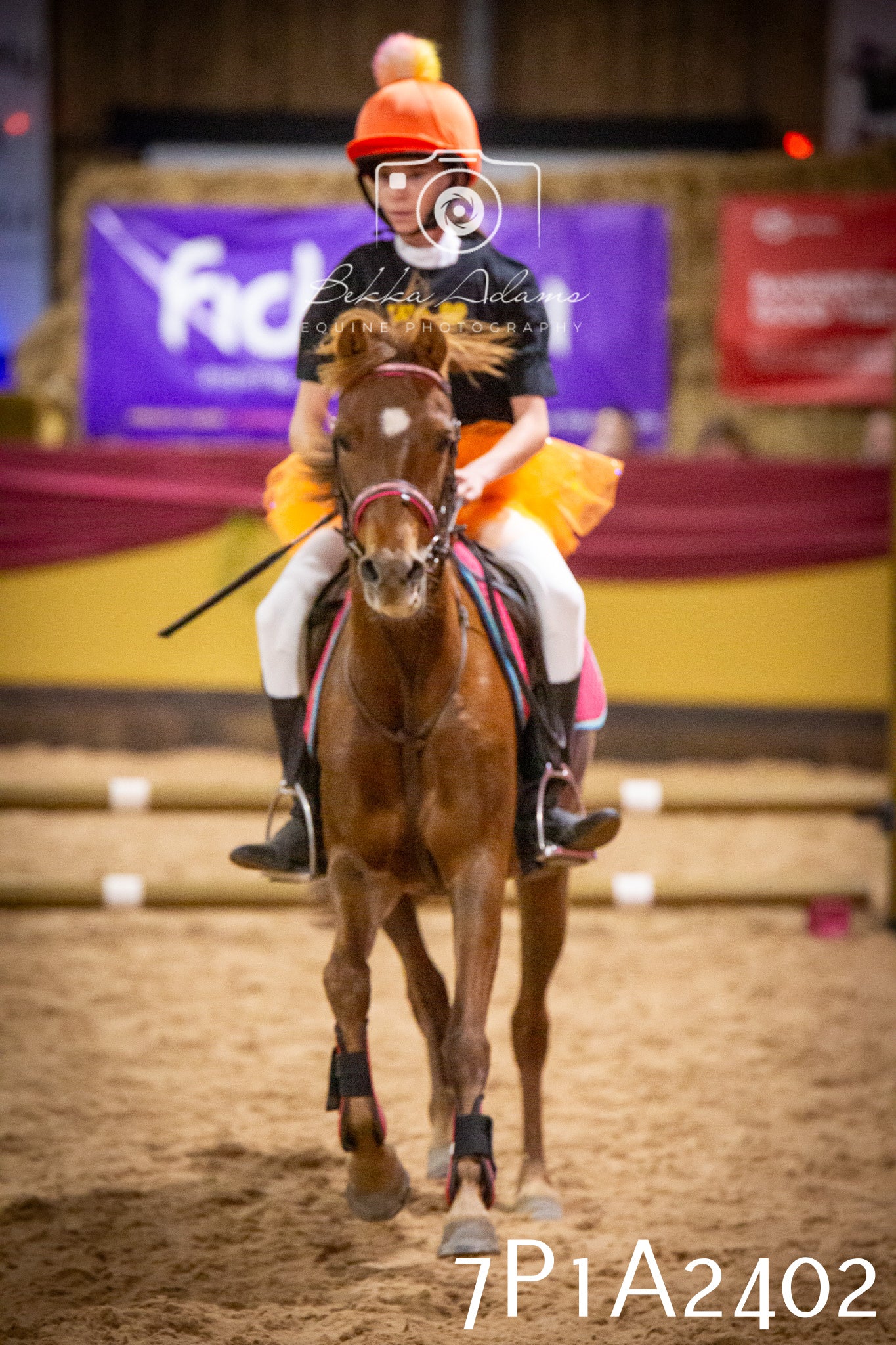 JHOYS 2025 - Show Jumping - 20th September pt1
