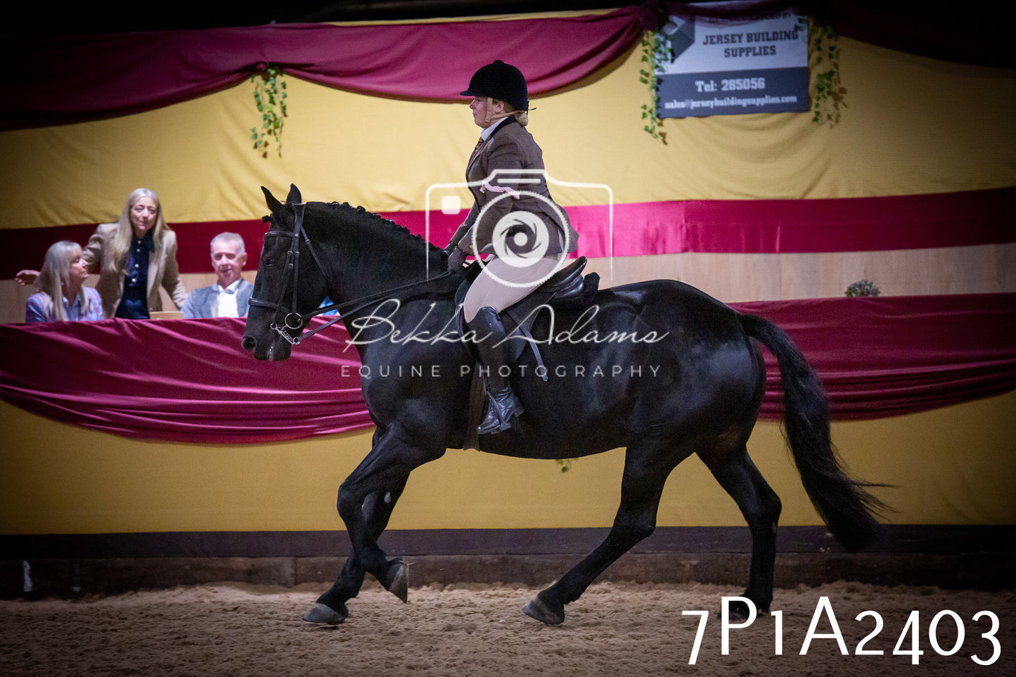 JHOYS 2025 - Ridden Showing - 28th September - pt2