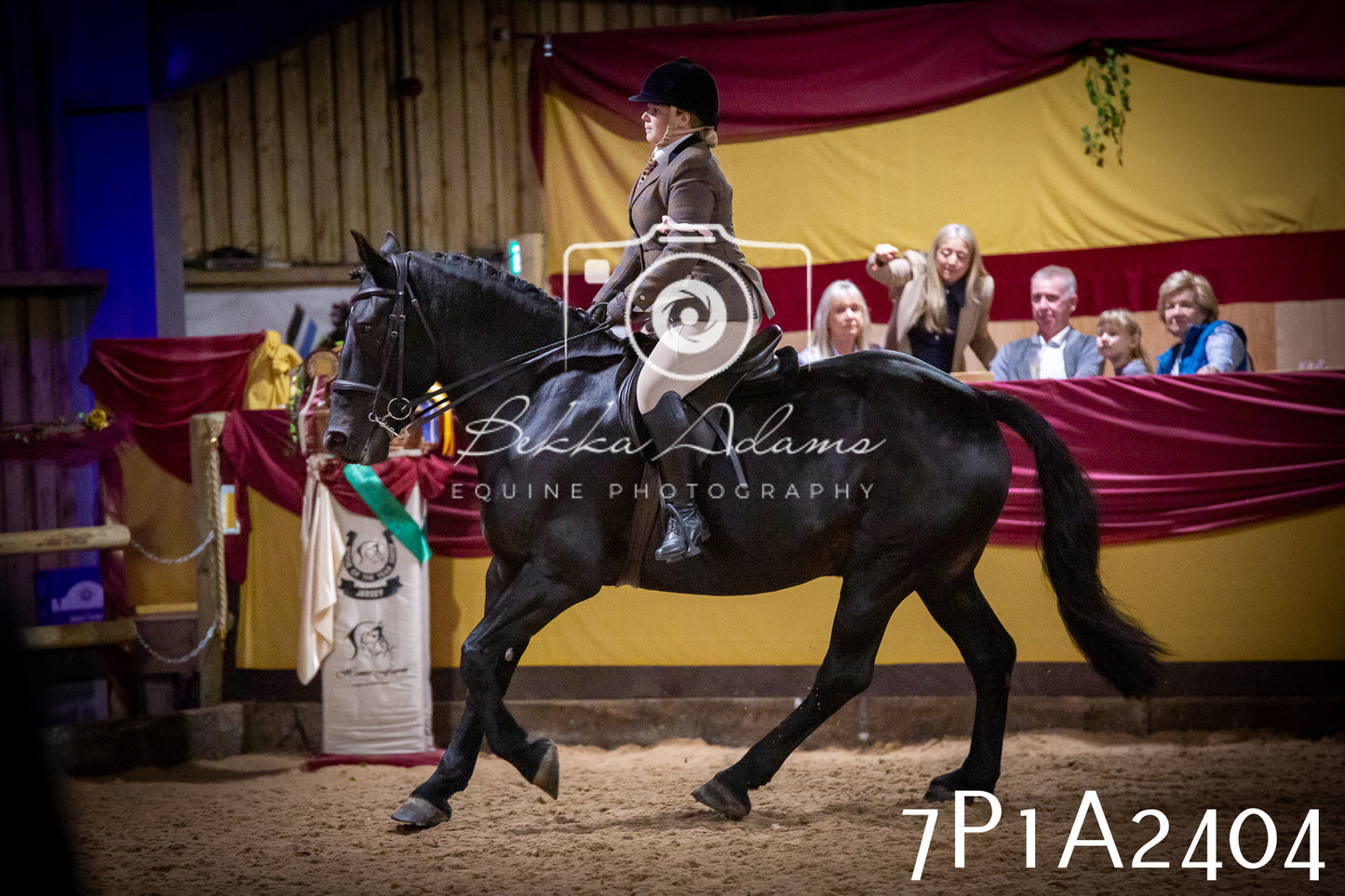 JHOYS 2025 - Ridden Showing - 28th September - pt2