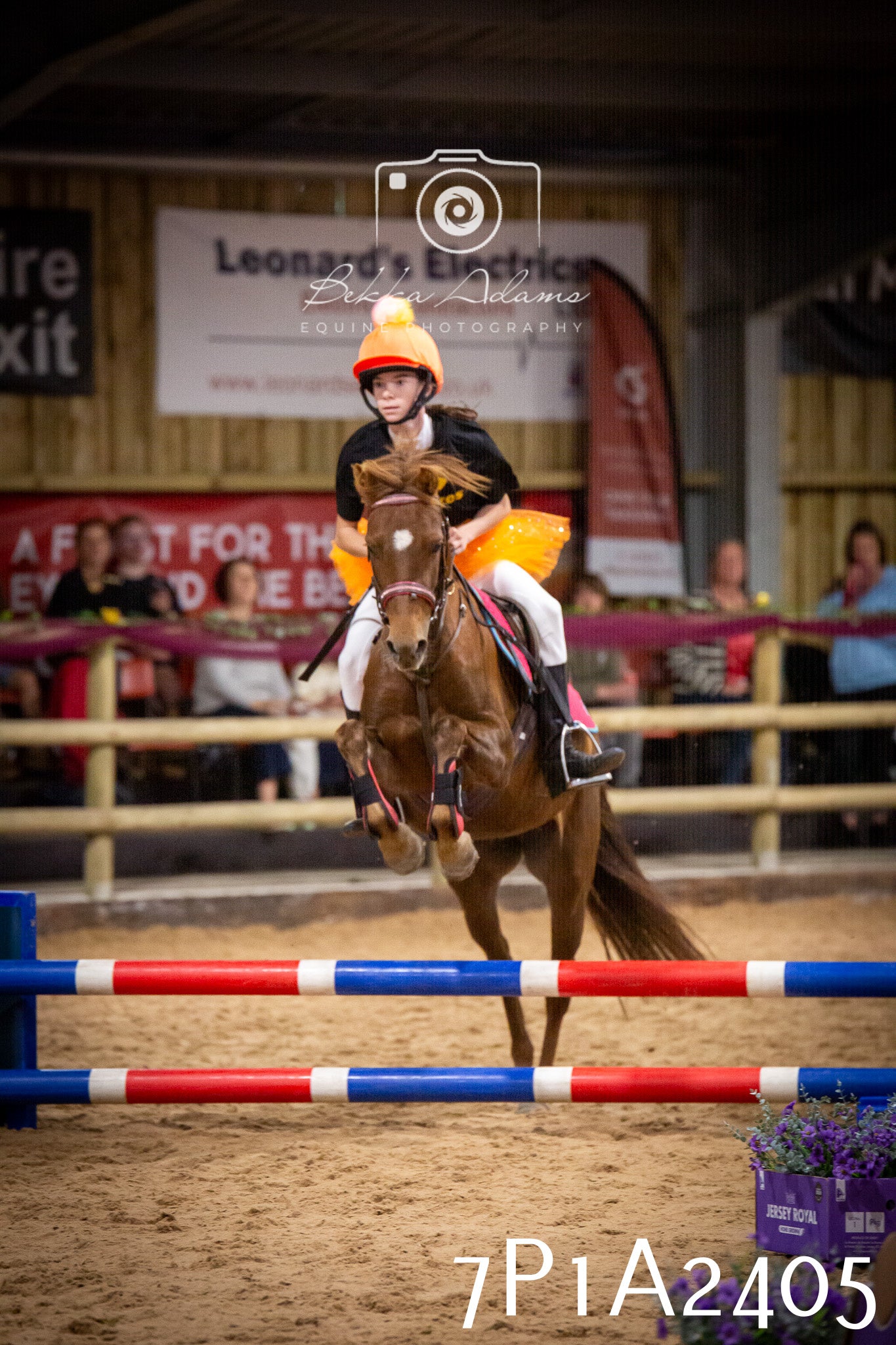 JHOYS 2025 - Show Jumping - 20th September pt1