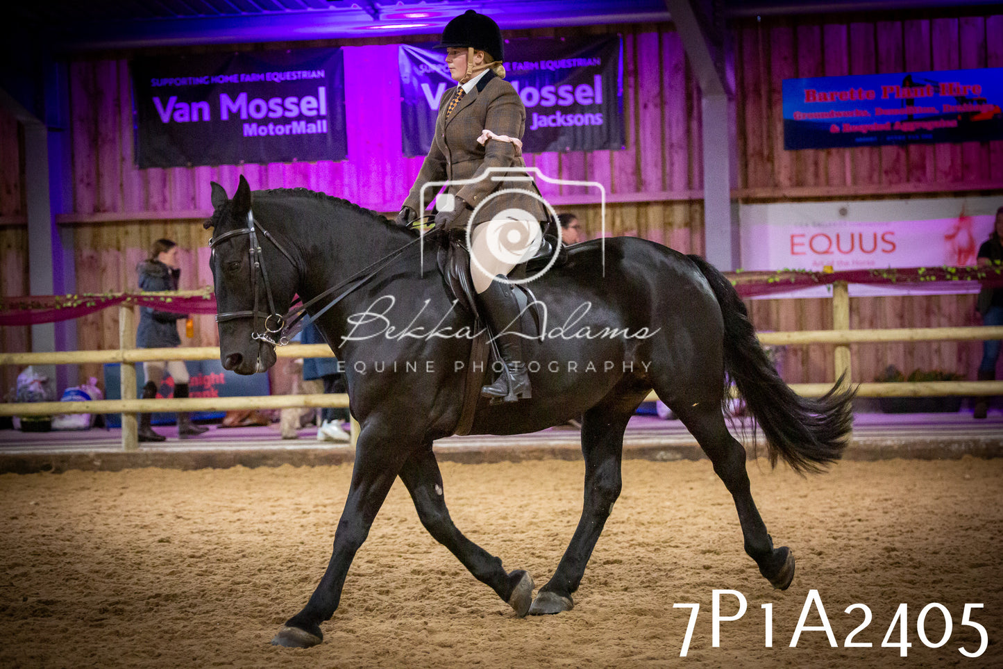 JHOYS 2025 - Ridden Showing - 28th September - pt2