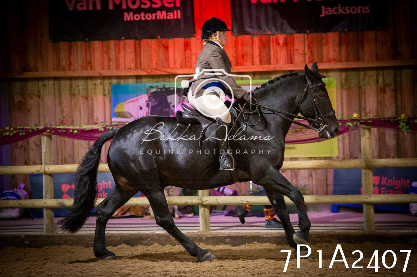 JHOYS 2025 - Ridden Showing - 28th September - pt2