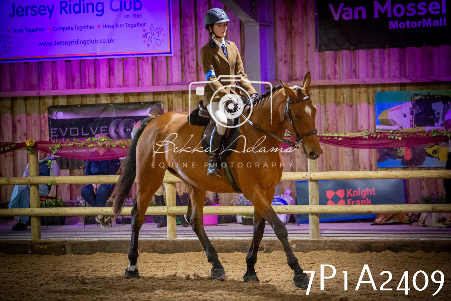 JHOYS 2025 - Ridden Showing - 28th September - pt2