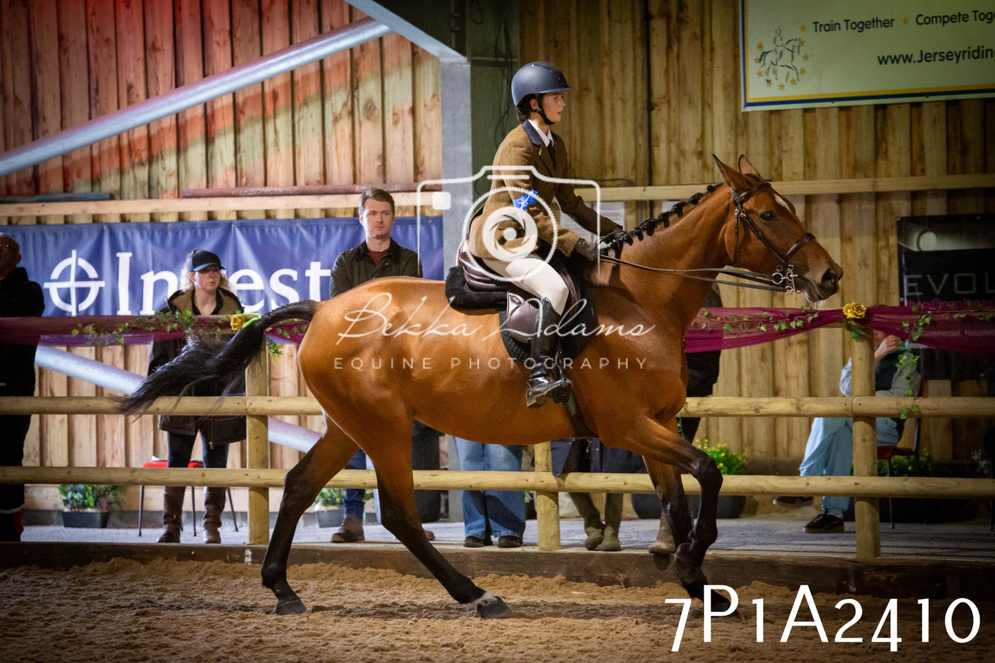JHOYS 2025 - Ridden Showing - 28th September - pt2