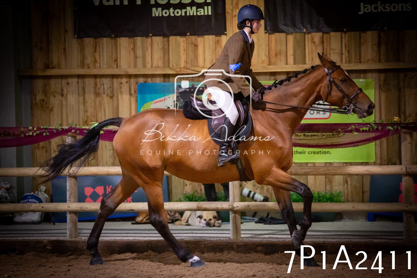 JHOYS 2025 - Ridden Showing - 28th September - pt2