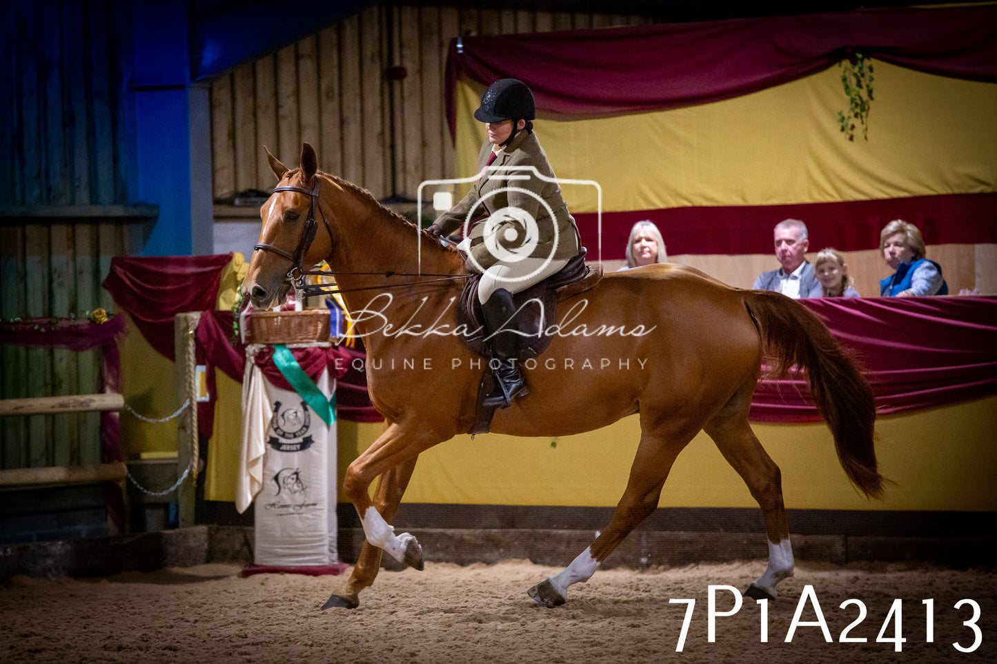 JHOYS 2025 - Ridden Showing - 28th September - pt2