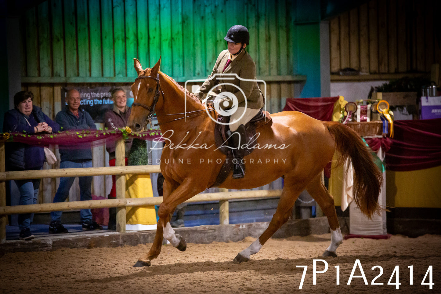 JHOYS 2025 - Ridden Showing - 28th September - pt2
