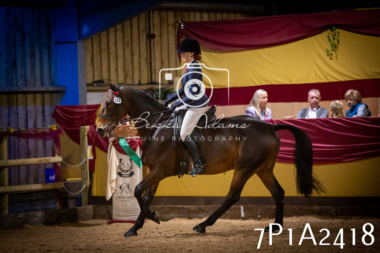 JHOYS 2025 - Ridden Showing - 28th September - pt2