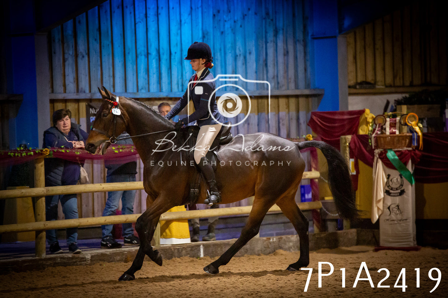 JHOYS 2025 - Ridden Showing - 28th September - pt2