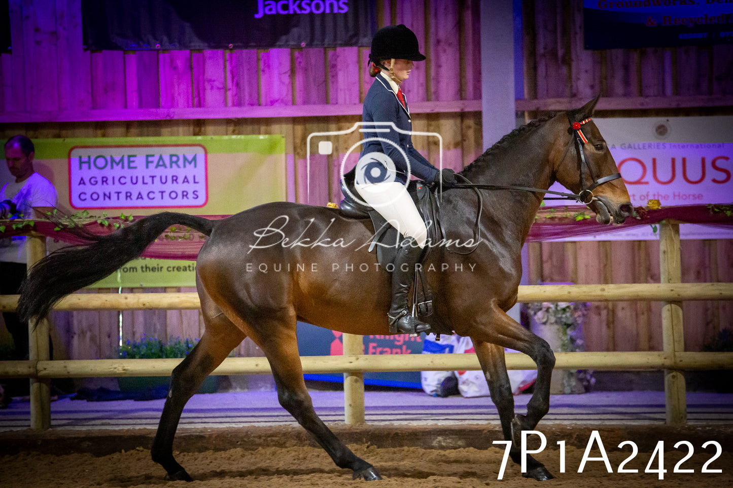 JHOYS 2025 - Ridden Showing - 28th September - pt2