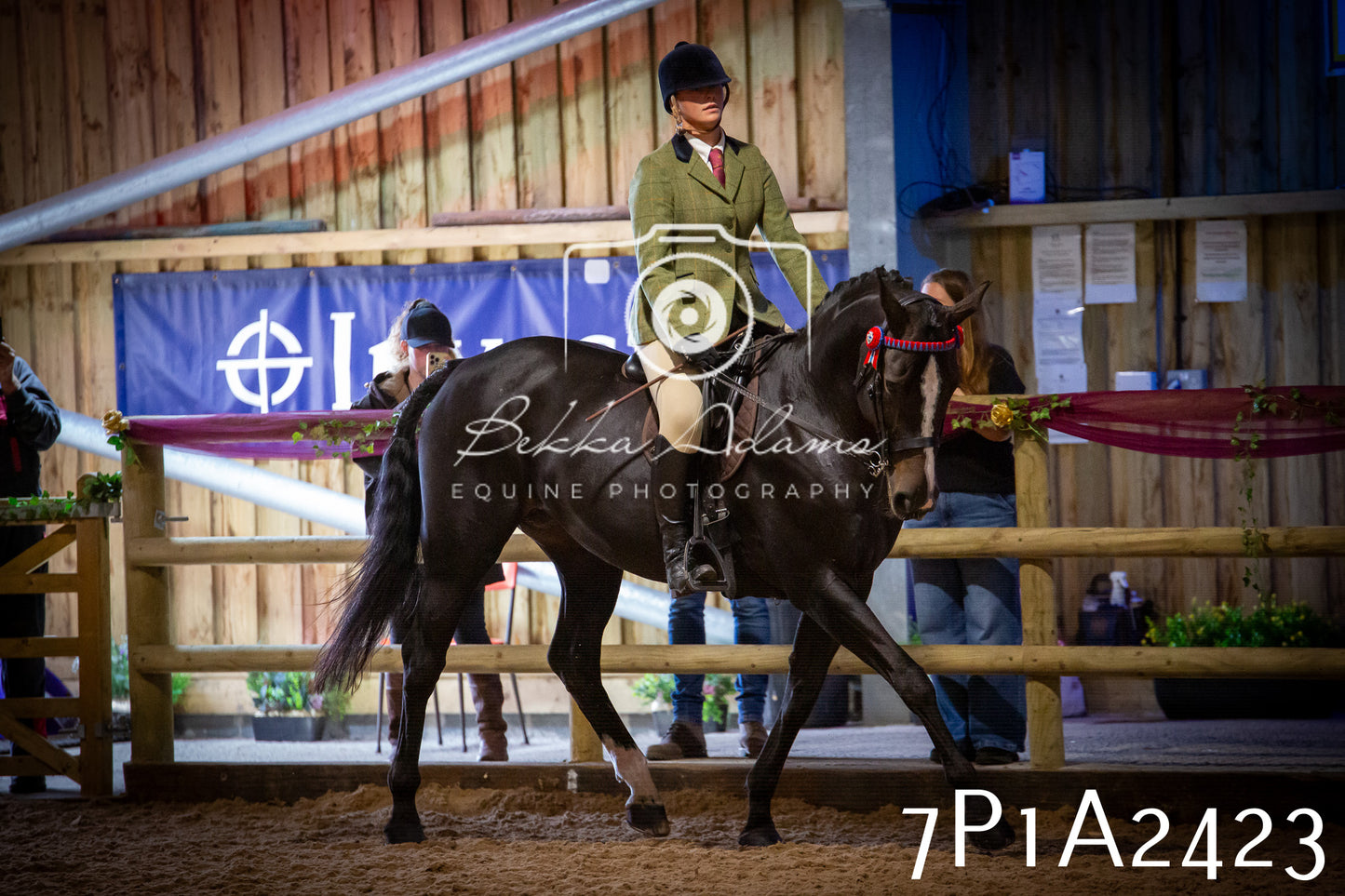 JHOYS 2025 - Ridden Showing - 28th September - pt2