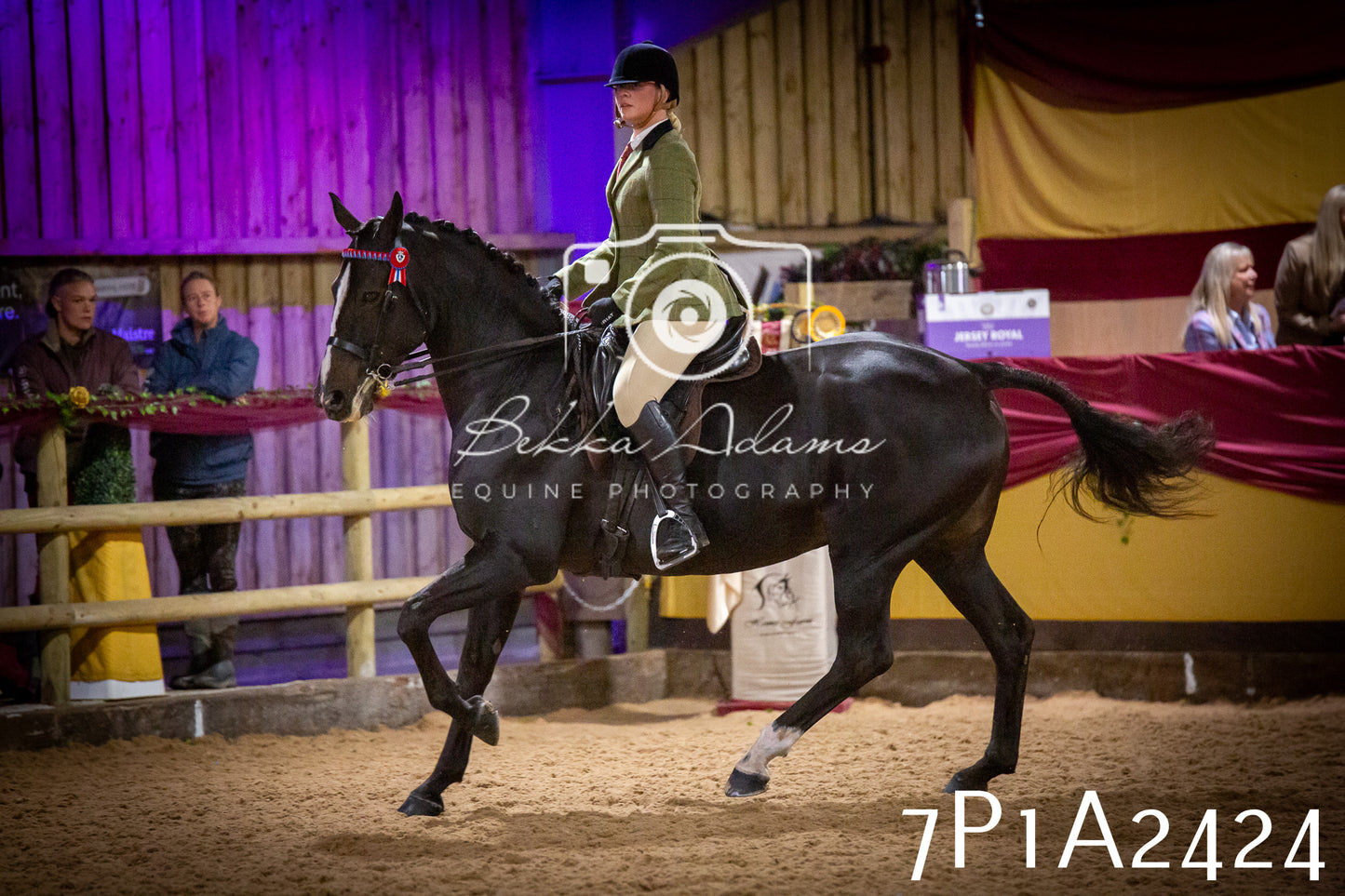 JHOYS 2025 - Ridden Showing - 28th September - pt2