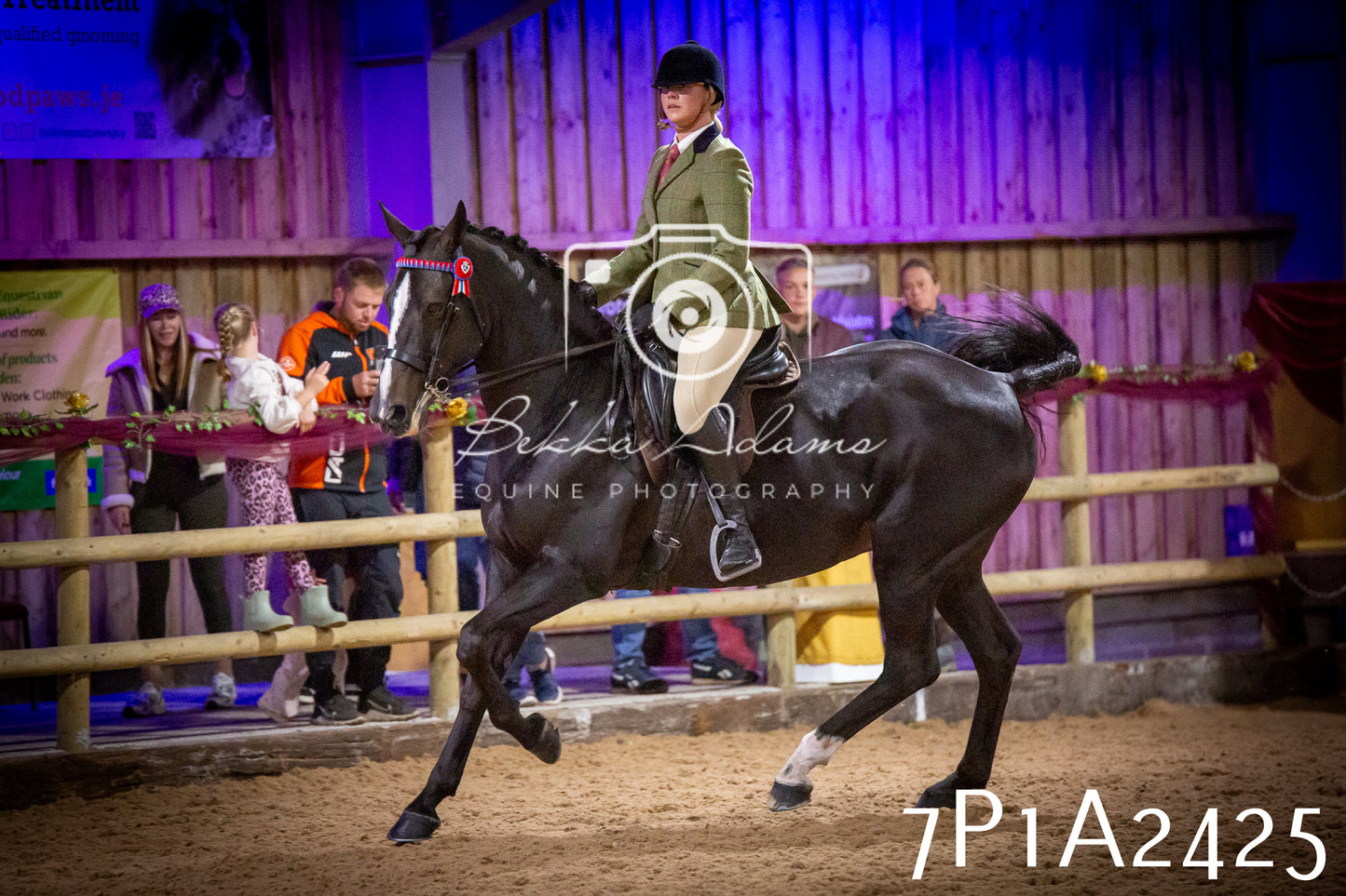 JHOYS 2025 - Ridden Showing - 28th September - pt2
