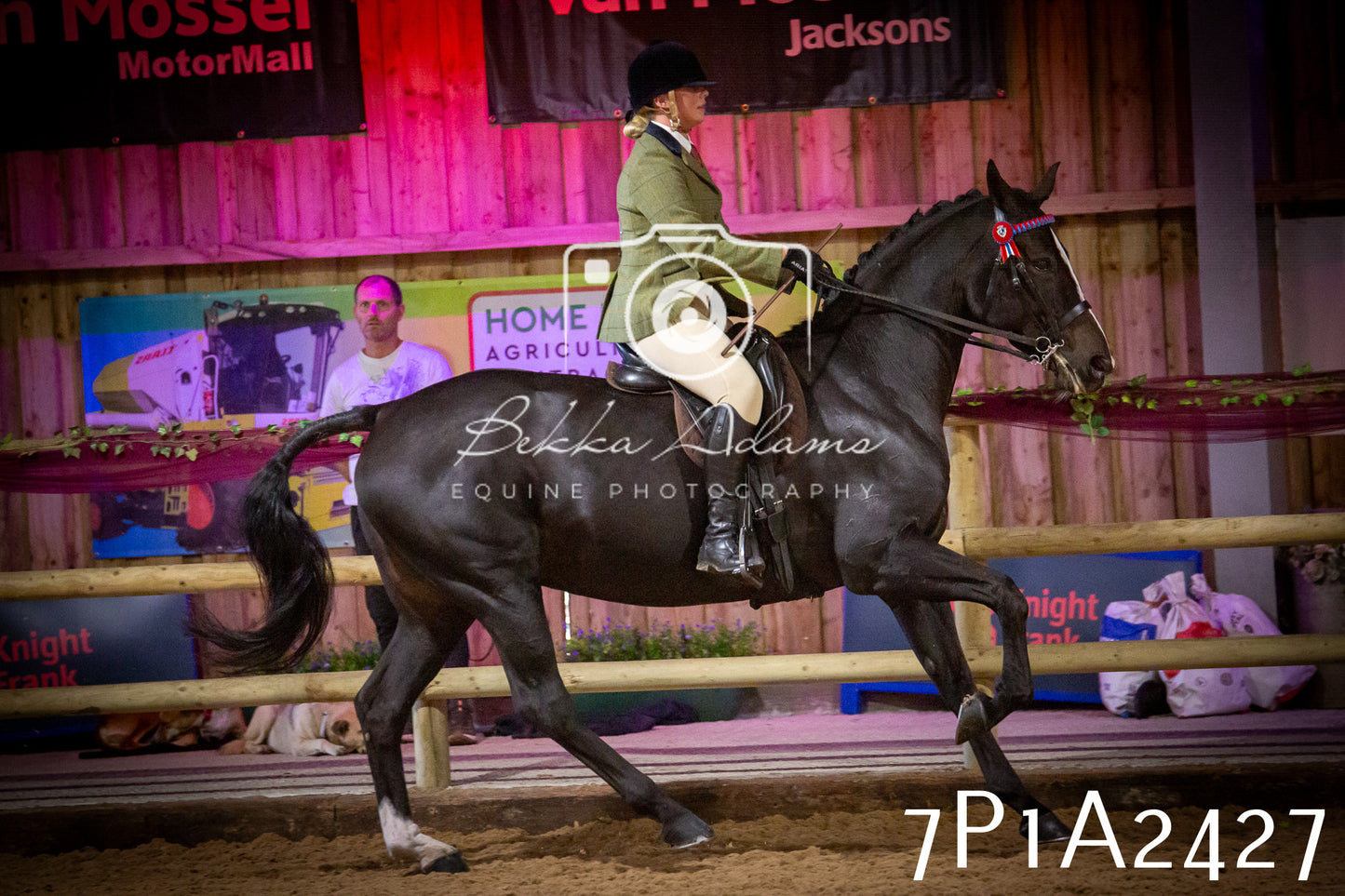 JHOYS 2025 - Ridden Showing - 28th September - pt2