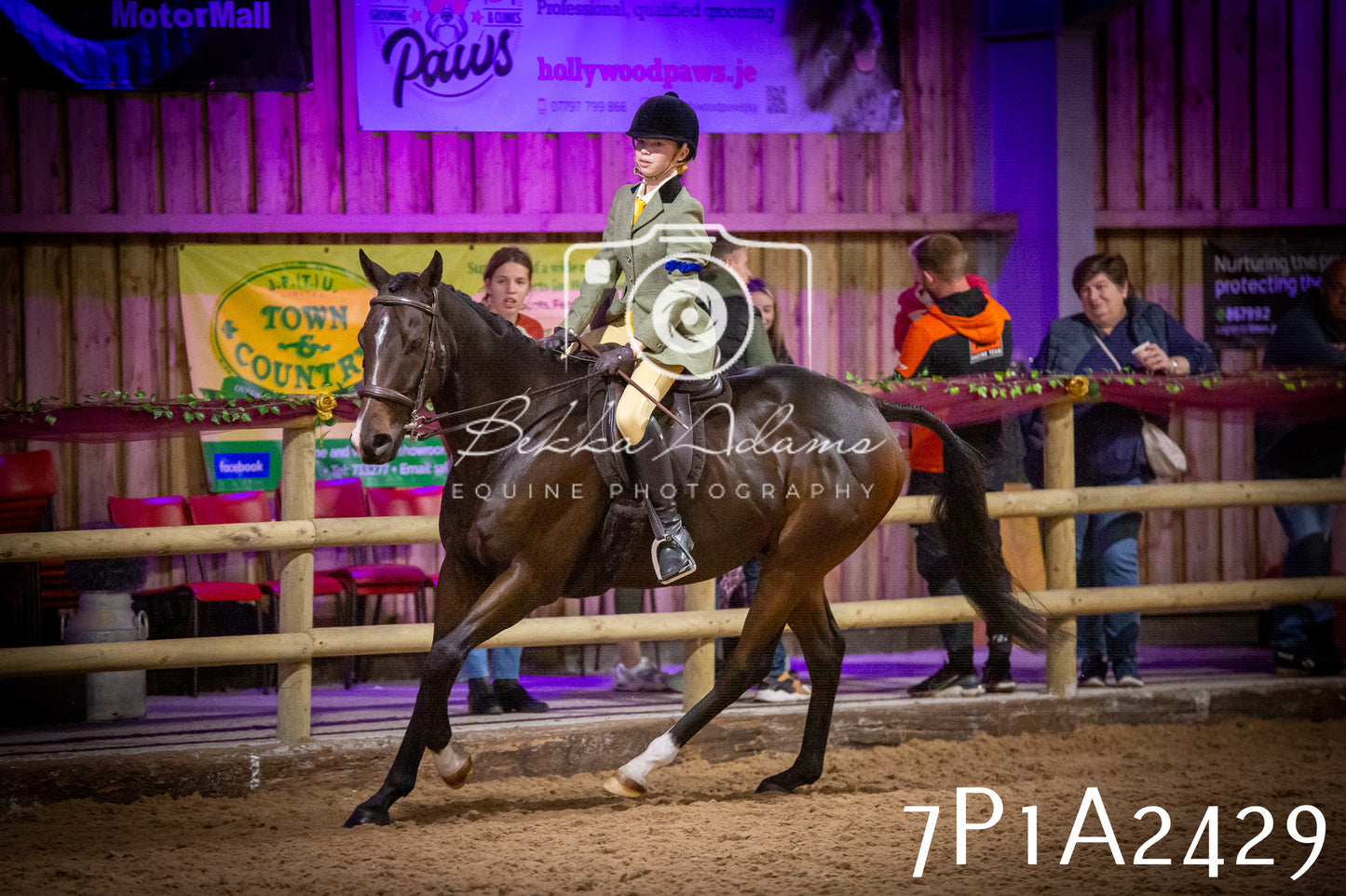 JHOYS 2025 - Ridden Showing - 28th September - pt2