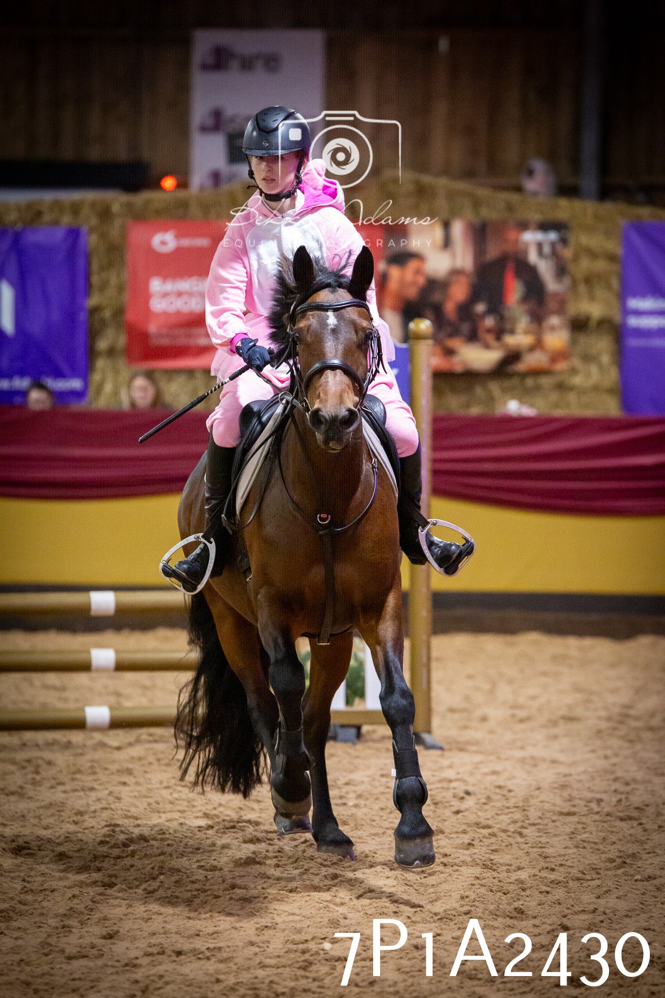 JHOYS 2025 - Show Jumping - 20th September pt1