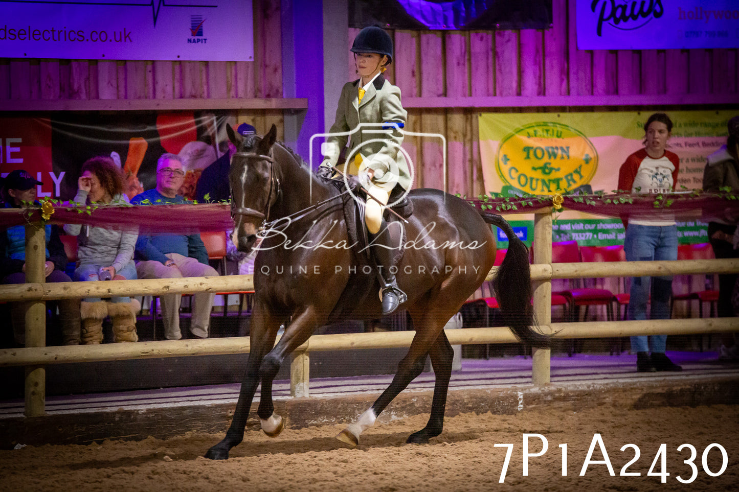 JHOYS 2025 - Ridden Showing - 28th September - pt2