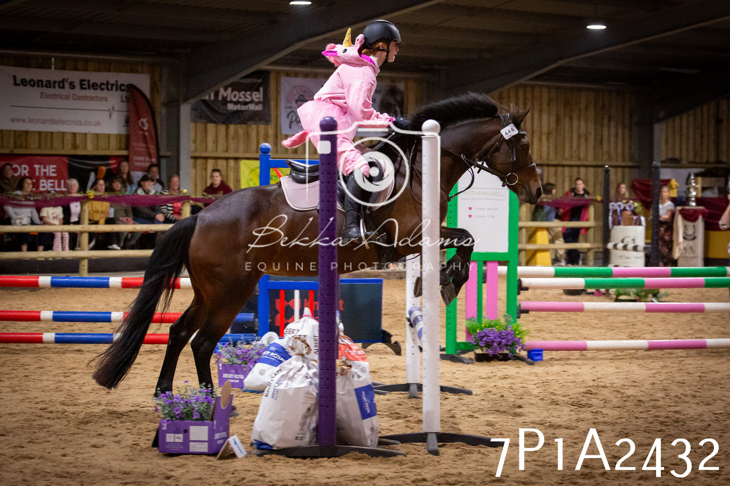 JHOYS 2025 - Show Jumping - 20th September pt1
