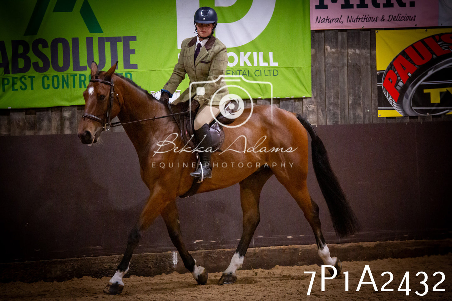 JHOYS 2025 - Ridden Showing - 28th September - pt2