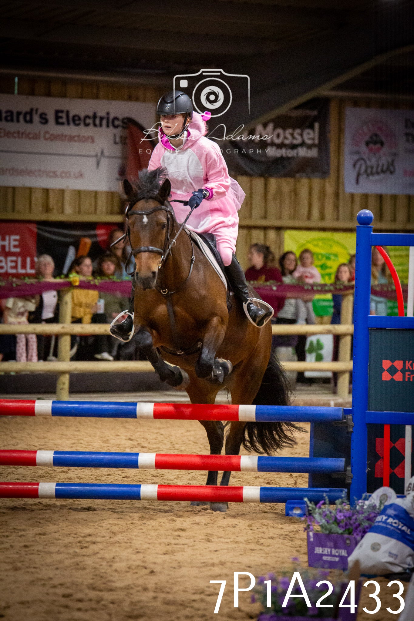 JHOYS 2025 - Show Jumping - 20th September pt1