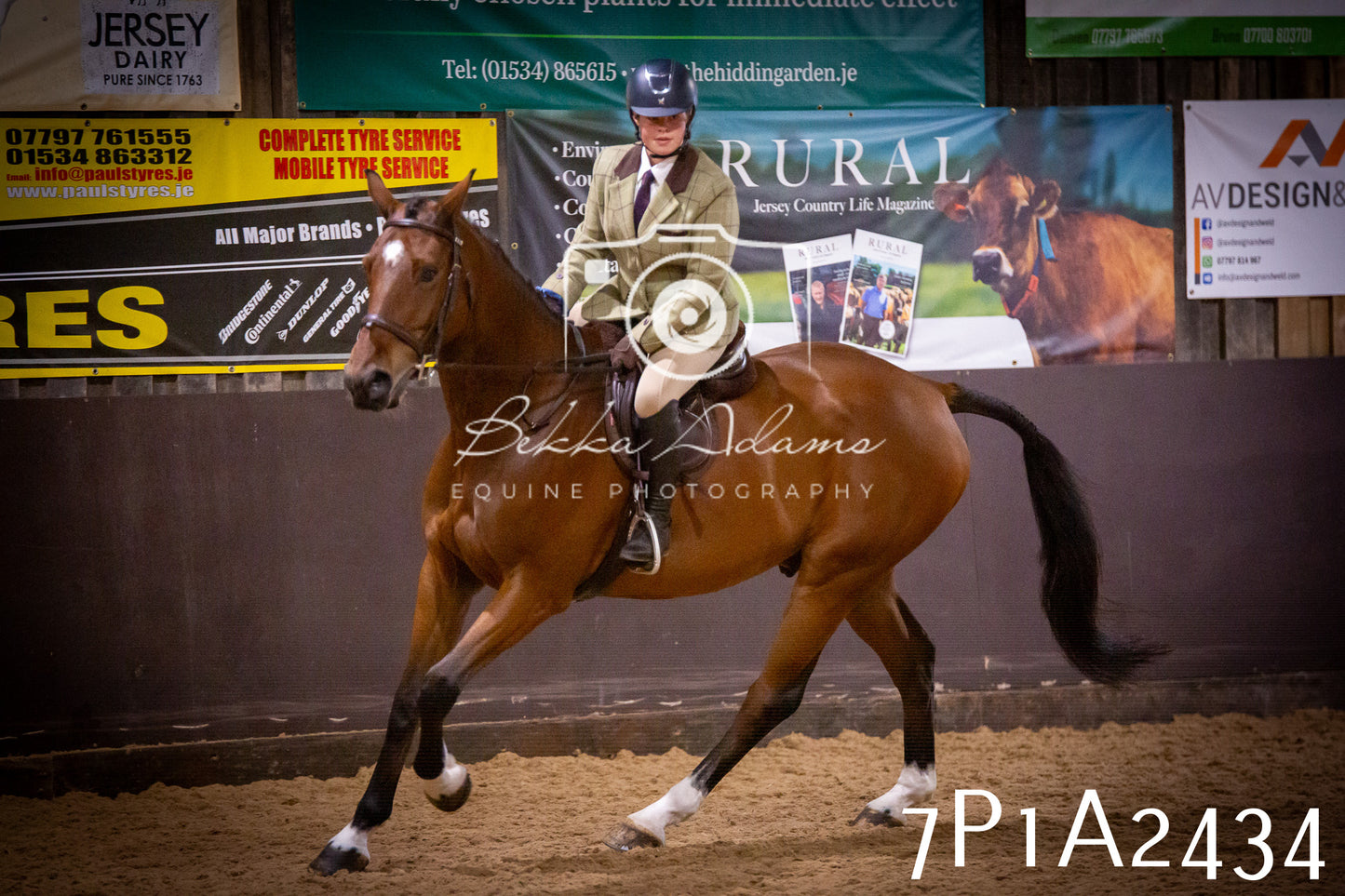 JHOYS 2025 - Ridden Showing - 28th September - pt2