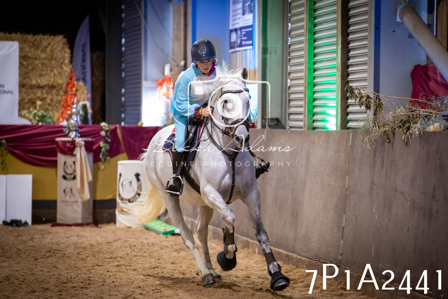 JHOYS 2025 - Show Jumping - 20th September pt1