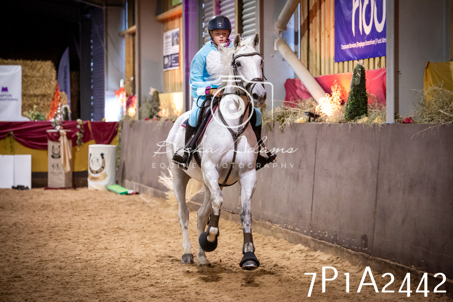 JHOYS 2025 - Show Jumping - 20th September pt1