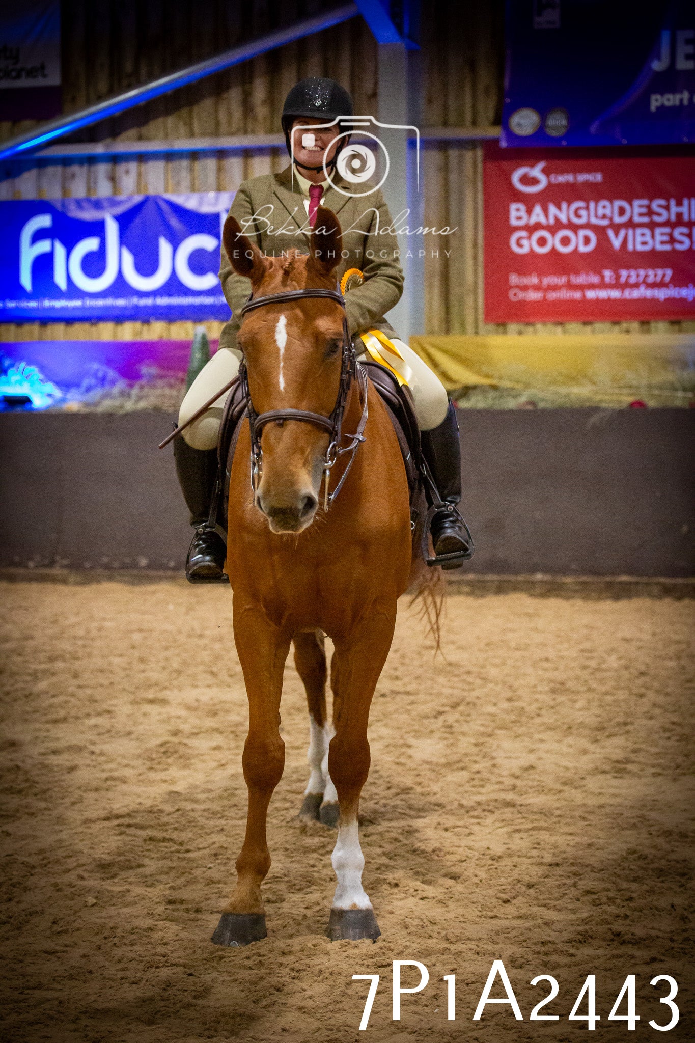 JHOYS 2025 - Ridden Showing - 28th September - pt2