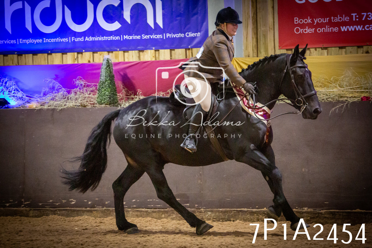 JHOYS 2025 - Ridden Showing - 28th September - pt2