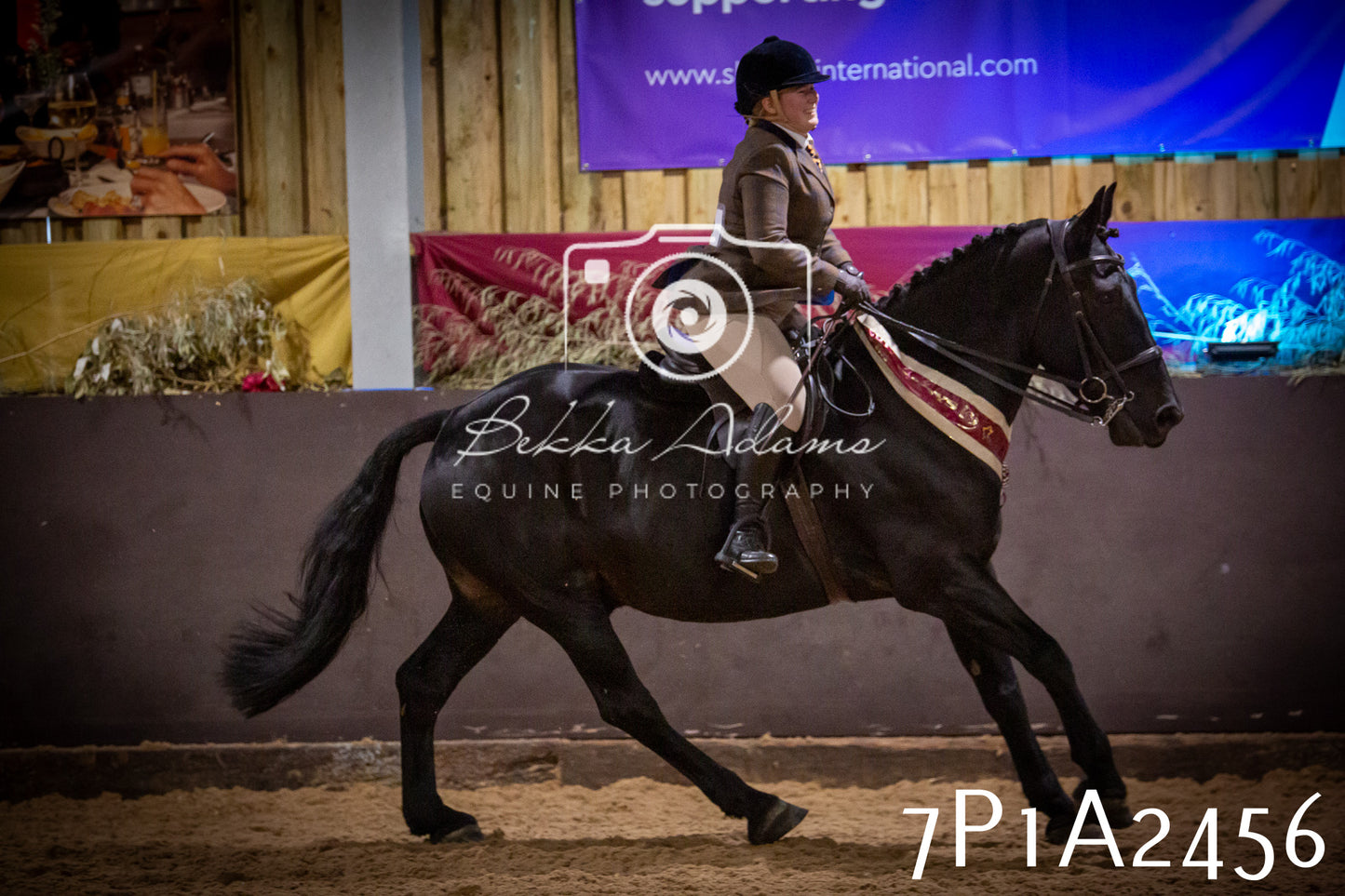 JHOYS 2025 - Ridden Showing - 28th September - pt2