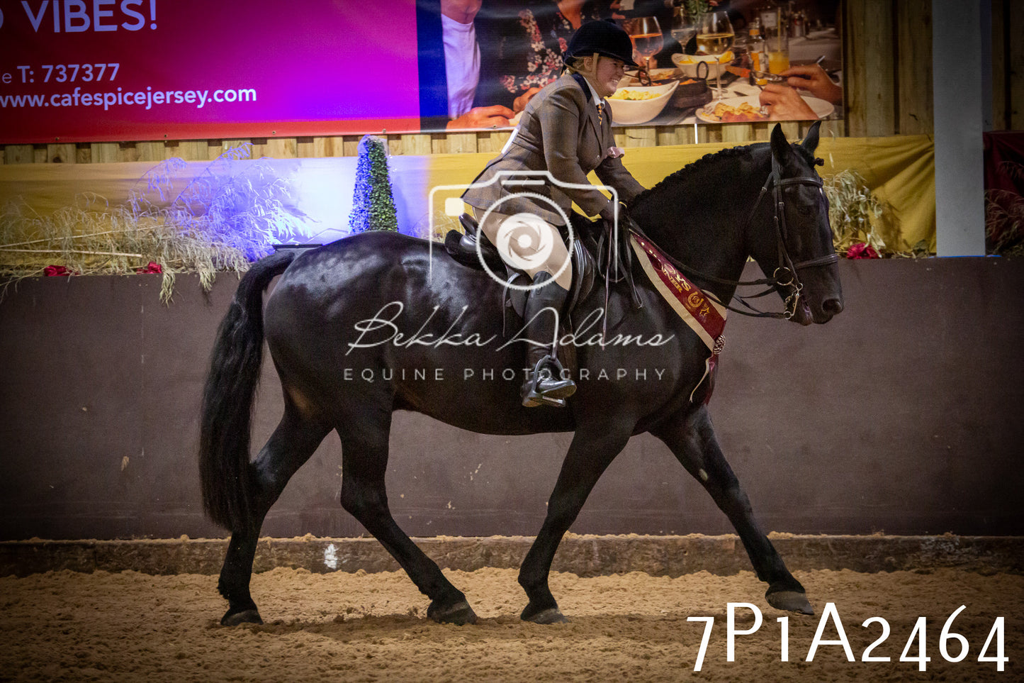 JHOYS 2025 - Ridden Showing - 28th September - pt2