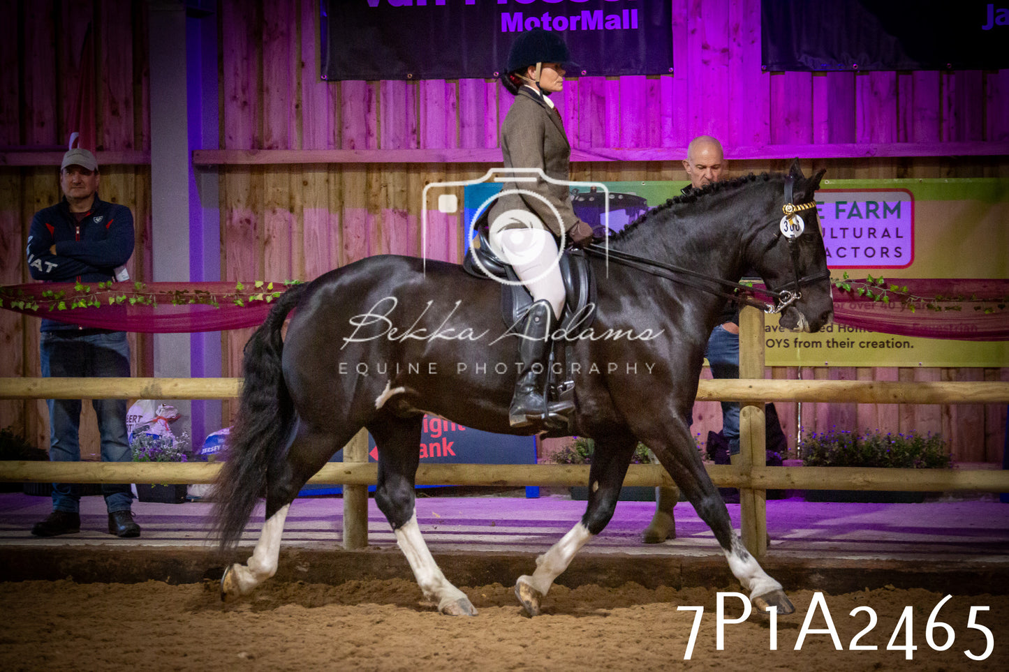 JHOYS 2025 - Ridden Showing - 28th September - pt2