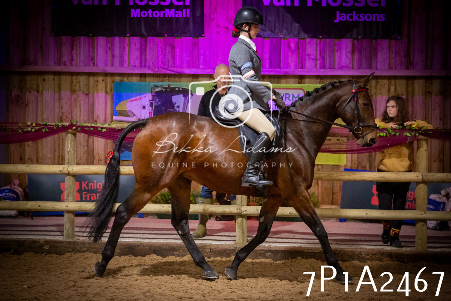 JHOYS 2025 - Ridden Showing - 28th September - pt2