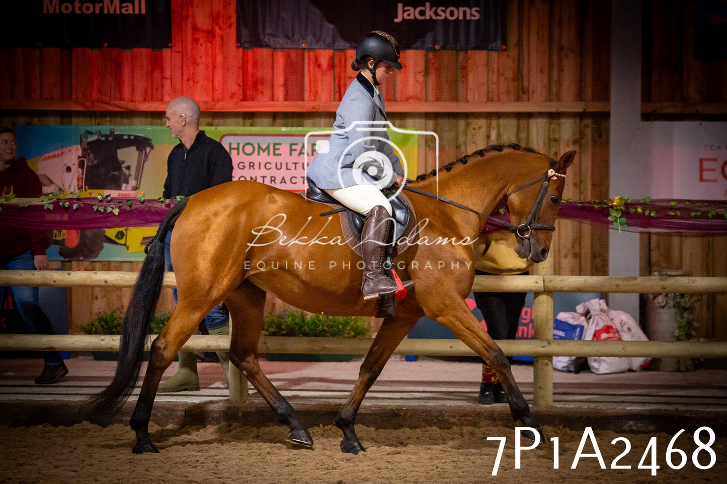 JHOYS 2025 - Ridden Showing - 28th September - pt2