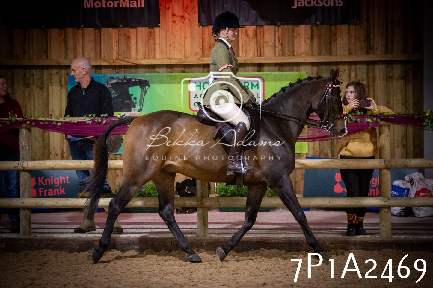 JHOYS 2025 - Ridden Showing - 28th September - pt2