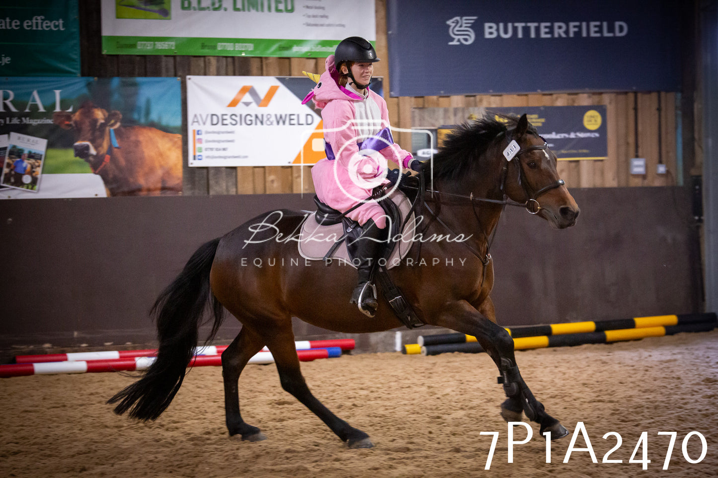JHOYS 2025 - Show Jumping - 20th September pt1