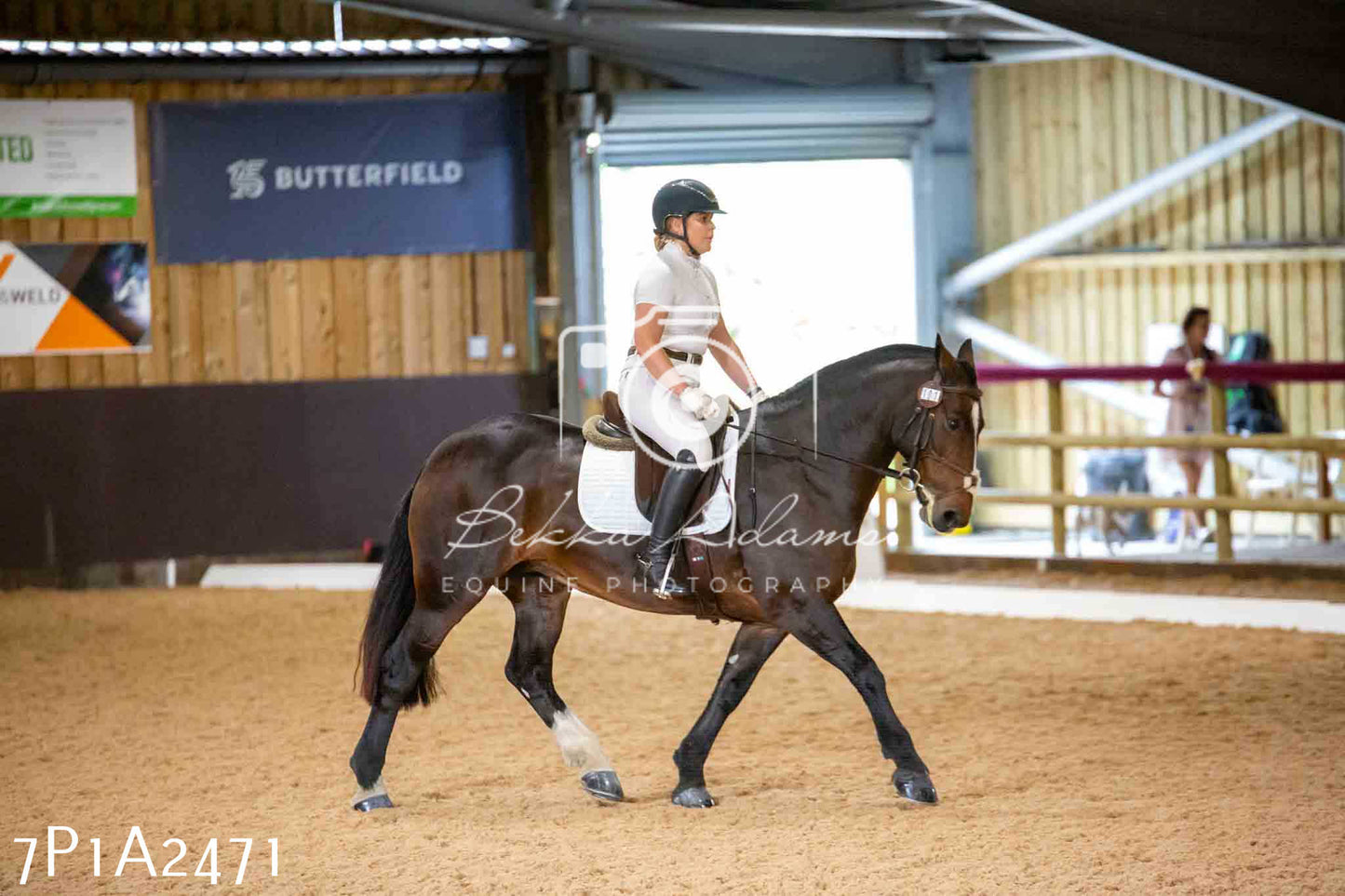 JHOYS 2023 - 6th September - Dressage