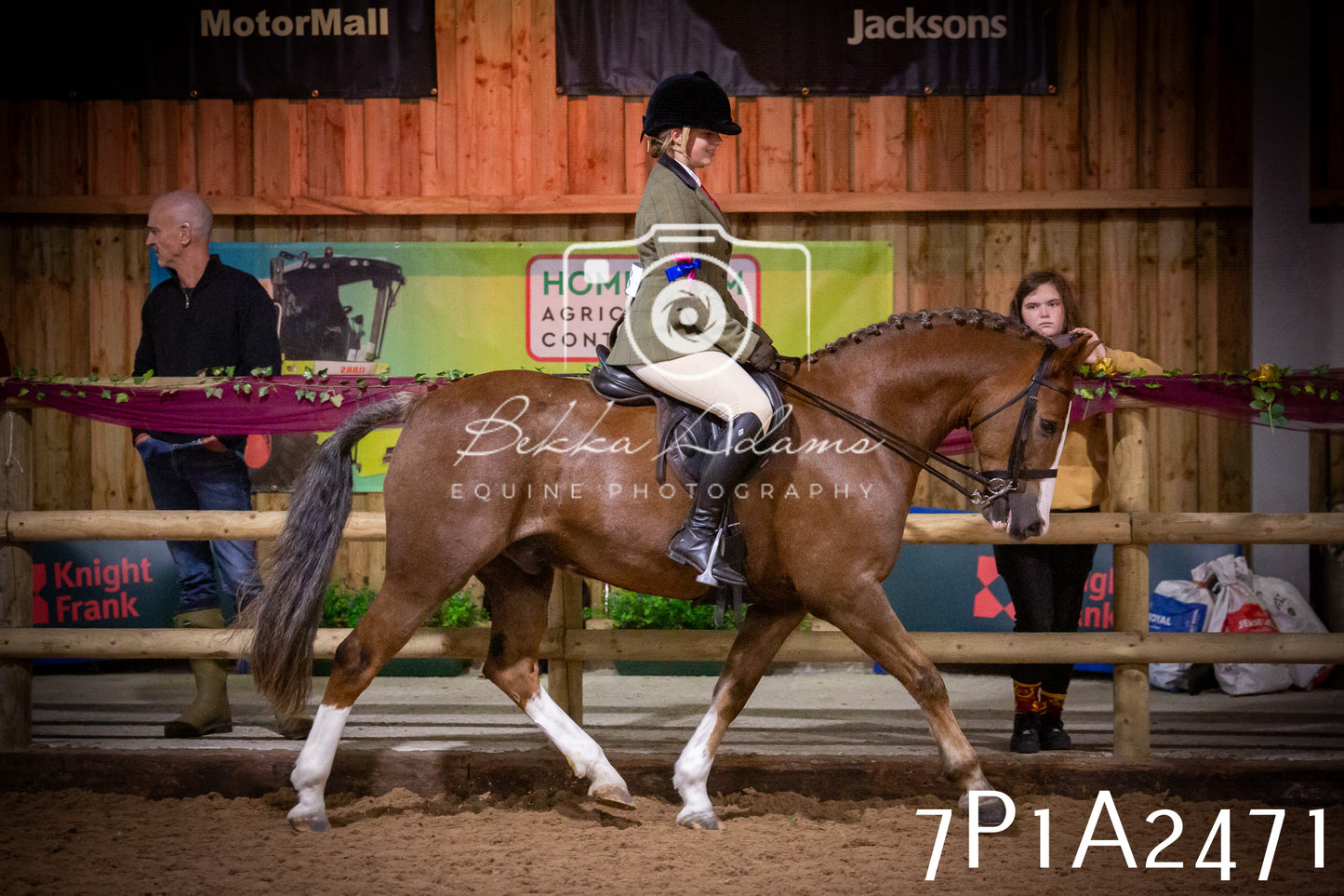 JHOYS 2025 - Ridden Showing - 28th September - pt2