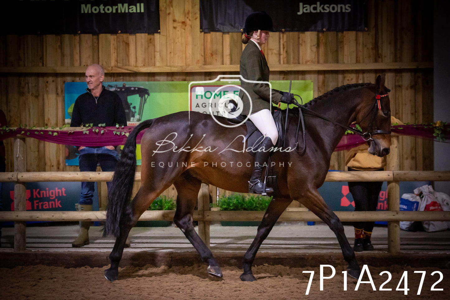 JHOYS 2025 - Ridden Showing - 28th September - pt2