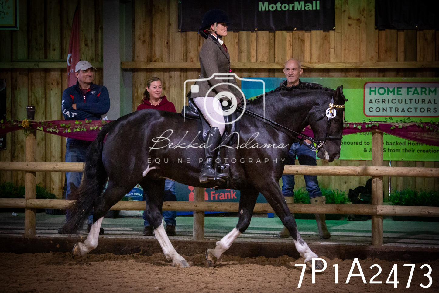 JHOYS 2025 - Ridden Showing - 28th September - pt2
