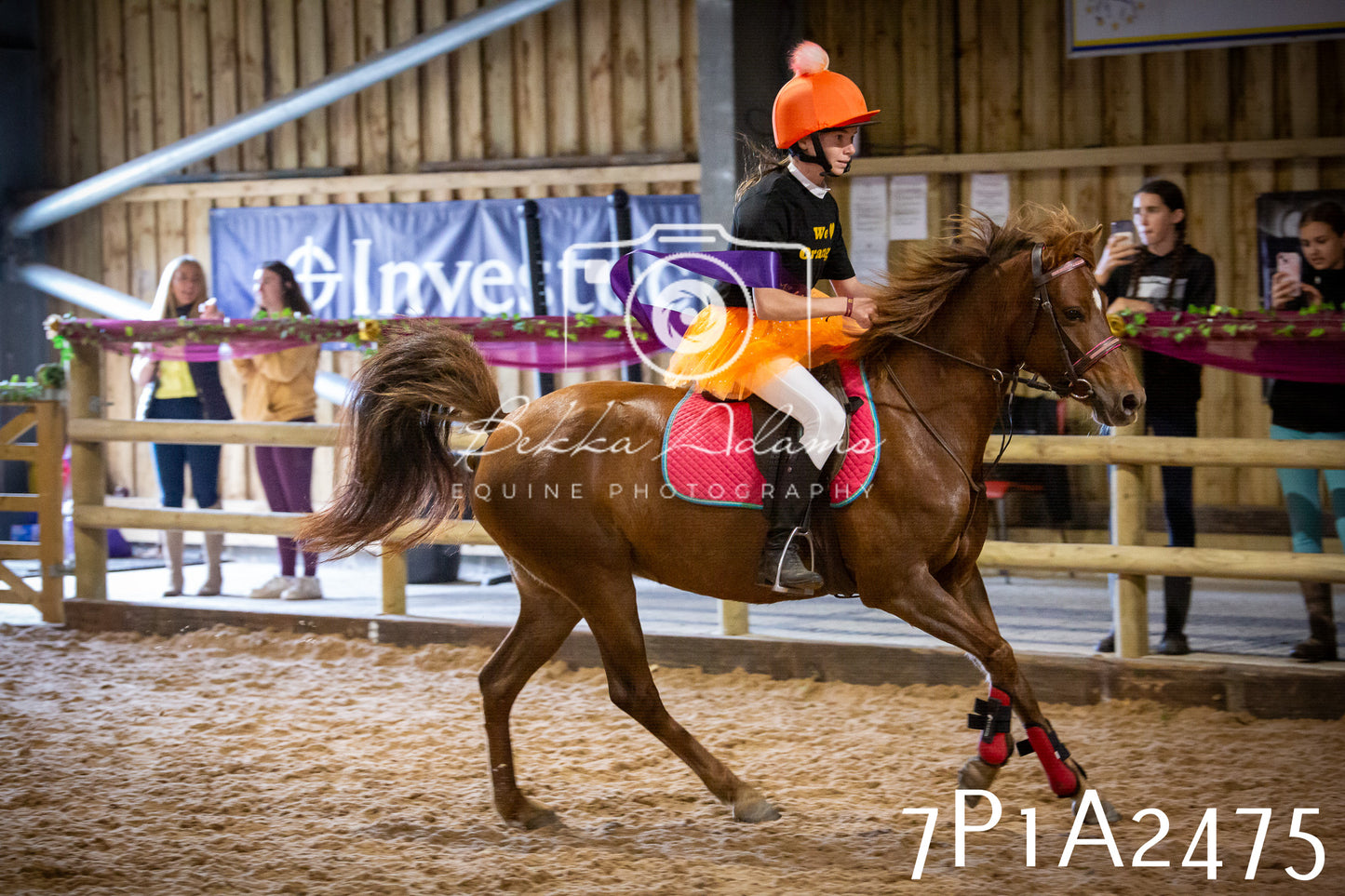 JHOYS 2025 - Show Jumping - 20th September pt1
