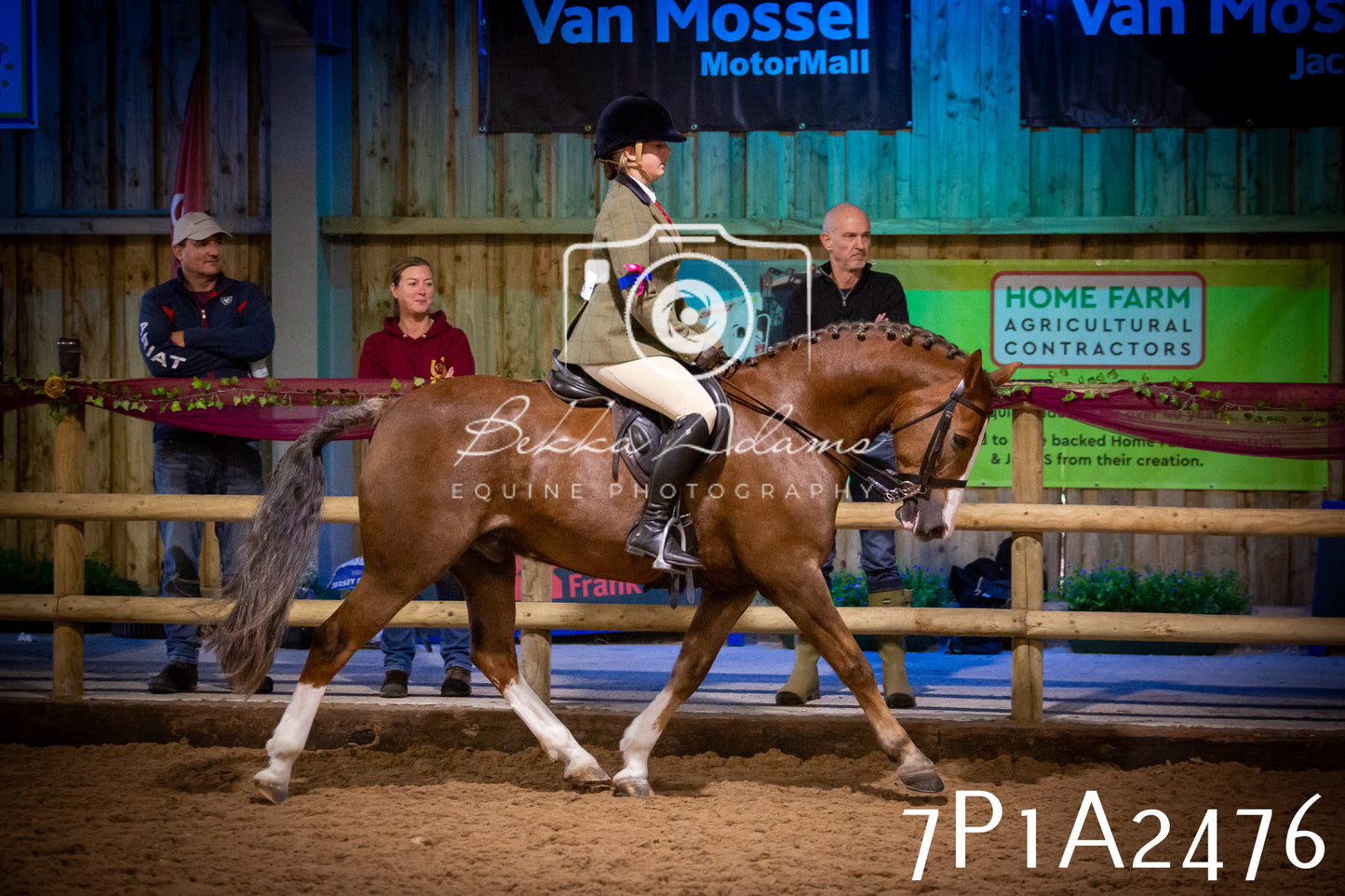 JHOYS 2025 - Ridden Showing - 28th September - pt2