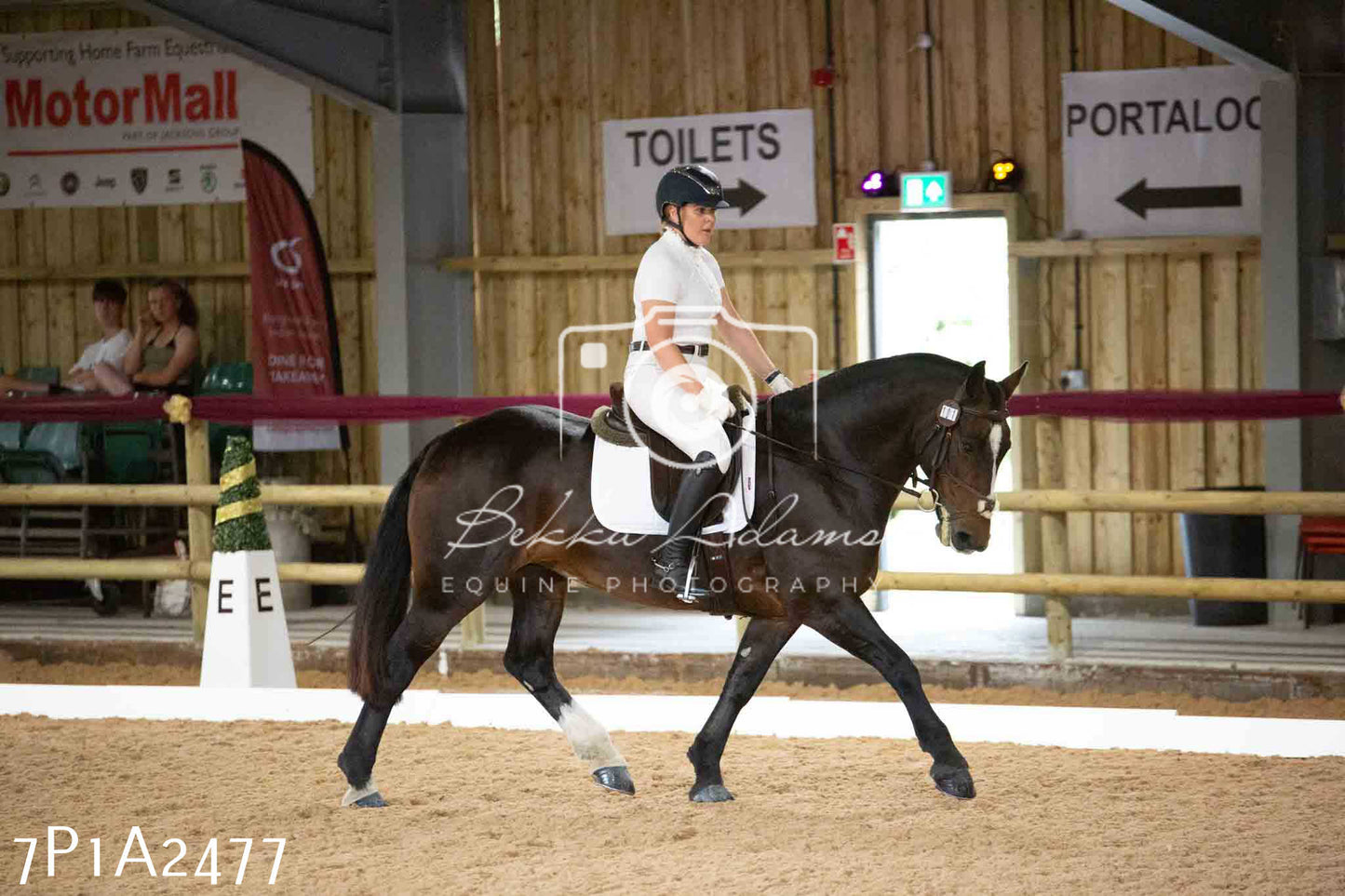 JHOYS 2023 - 6th September - Dressage