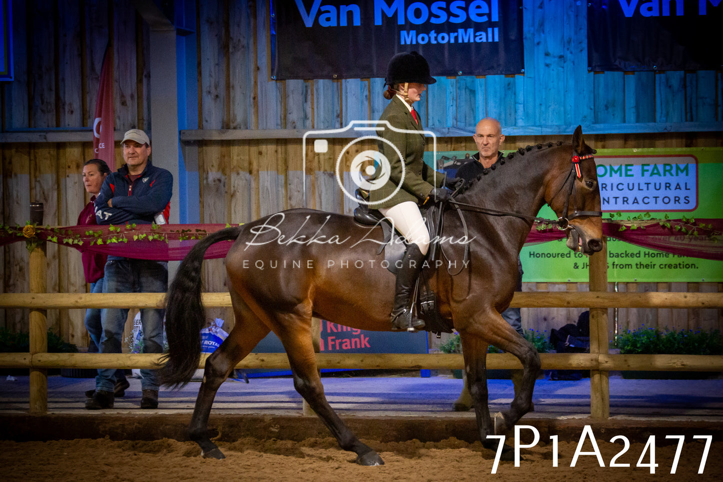JHOYS 2025 - Ridden Showing - 28th September - pt2