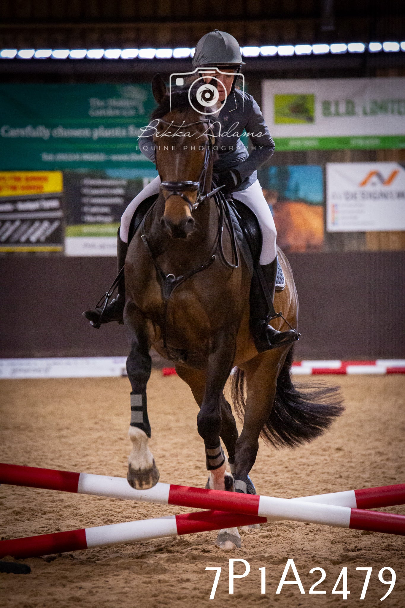 JHOYS 2025 - Show Jumping - 20th September pt1