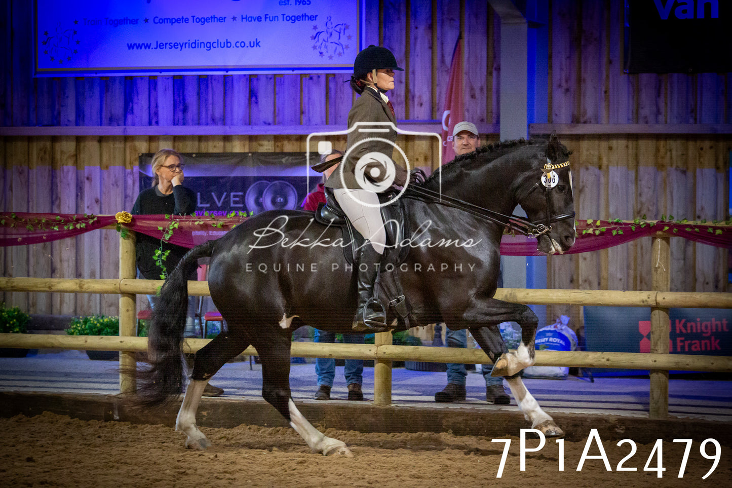 JHOYS 2025 - Ridden Showing - 28th September - pt2