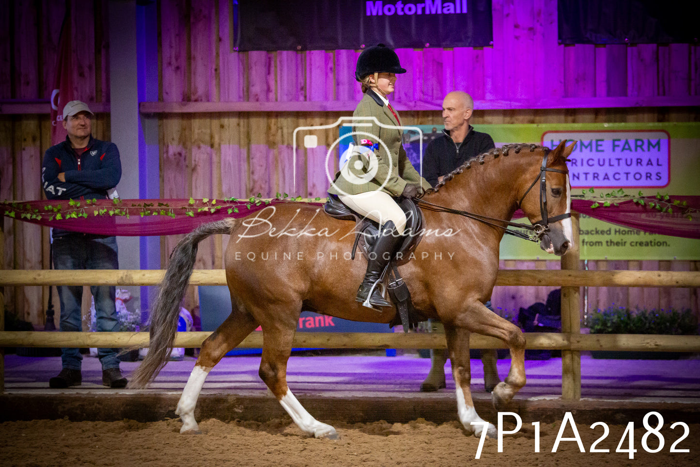 JHOYS 2025 - Ridden Showing - 28th September - pt2