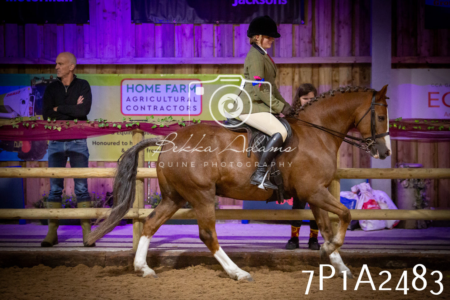 JHOYS 2025 - Ridden Showing - 28th September - pt2